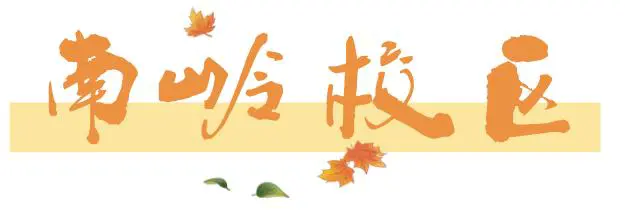 为什么信息化技术对篮球训练如此重要_1